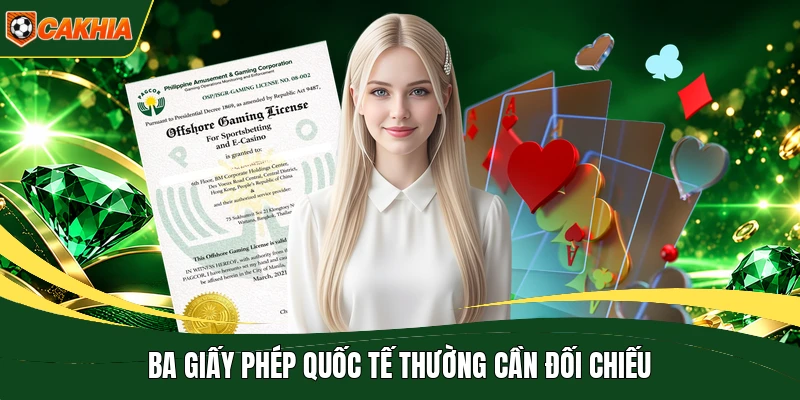 Ba giấy phép quốc tế thường cần đối chiếu