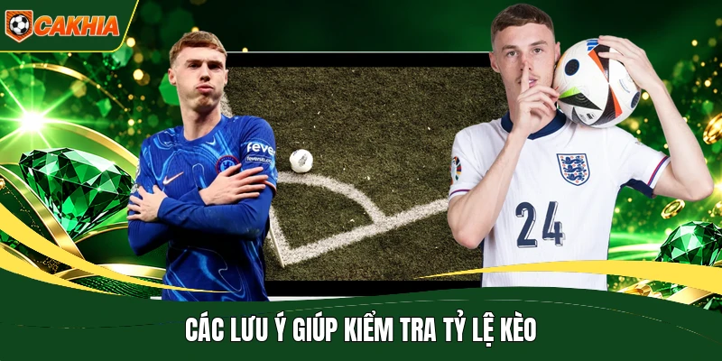 Các lưu ý giúp kiểm tra tỷ lệ kèo